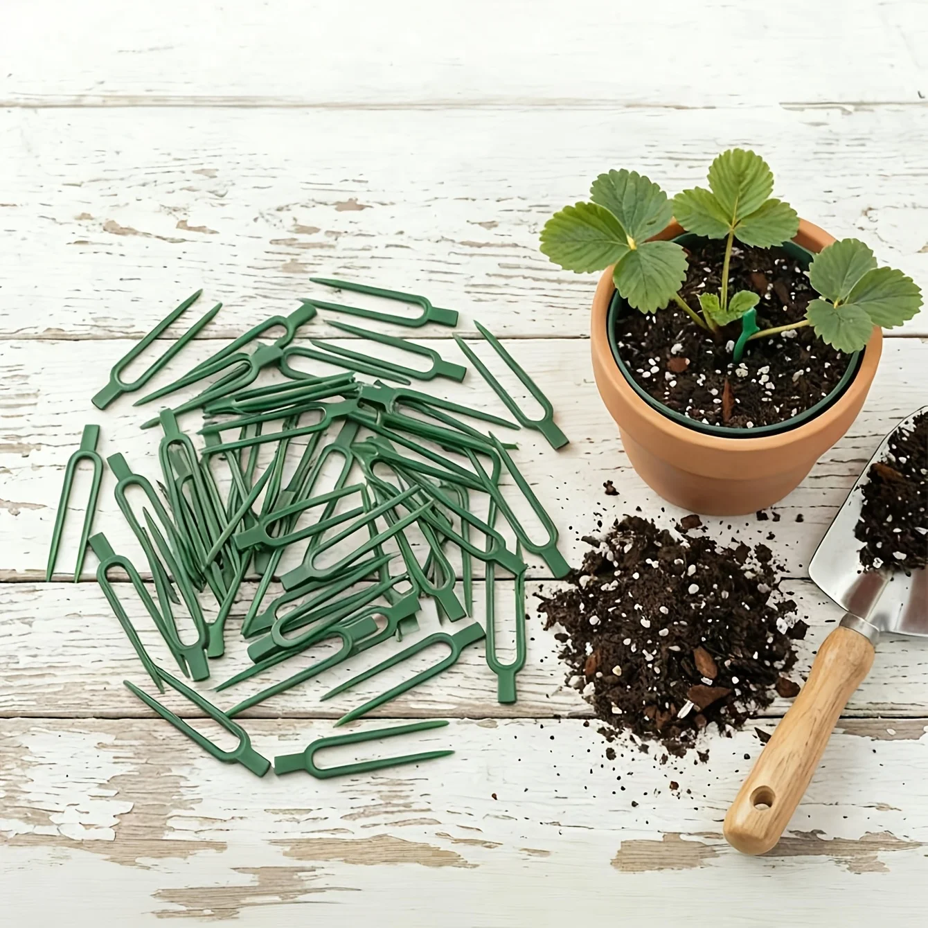 Plant Support Stake - 50 Stück Kunststoff-Pflanzenranken-Streugabeln – U-förmige Gartenpfähle