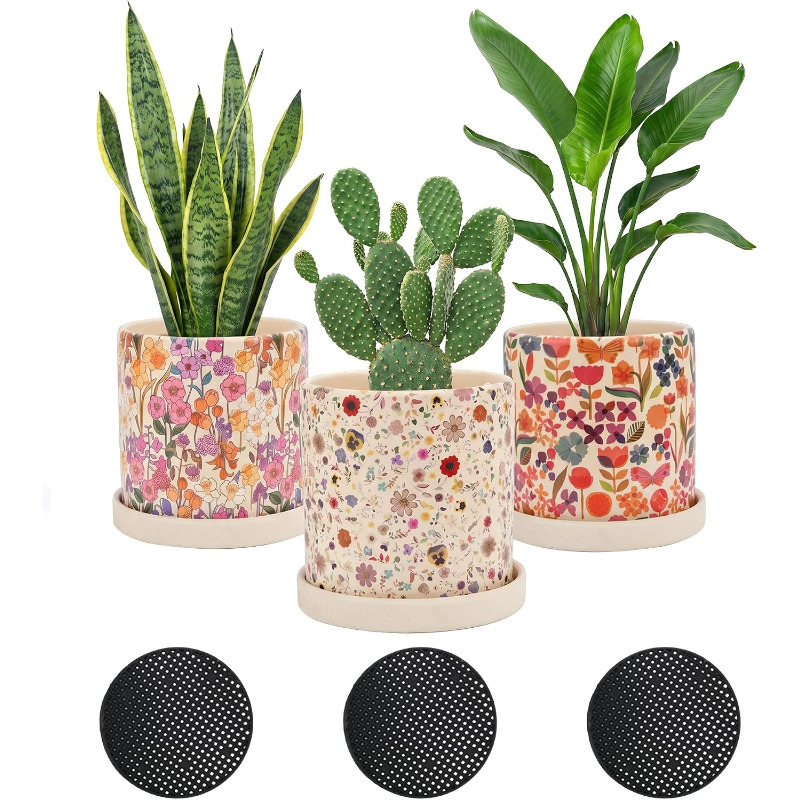 3-teiliges Set Keramik-Blument – Snake Plant Ceramic Bewertung und Preis