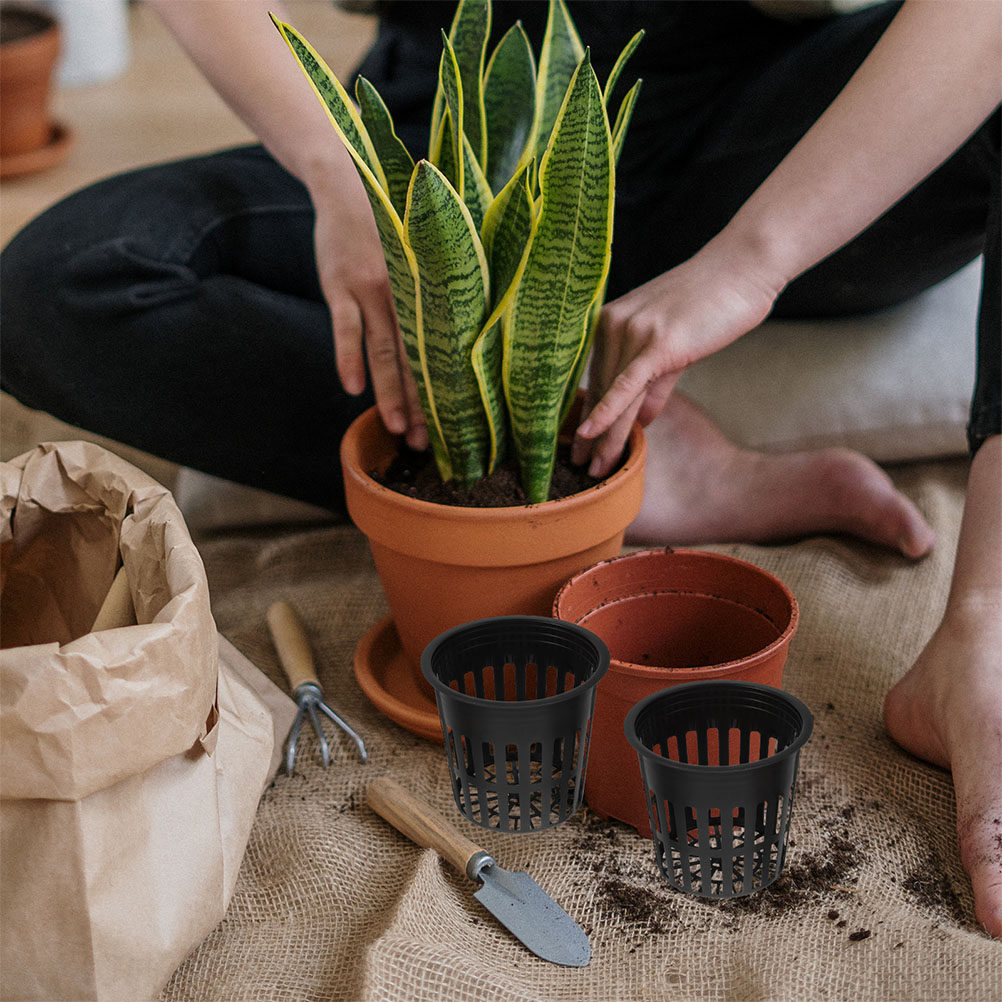 15 Stück Hydrokultur-Pflanzenk – Indoor Plants Bewertung und Preis