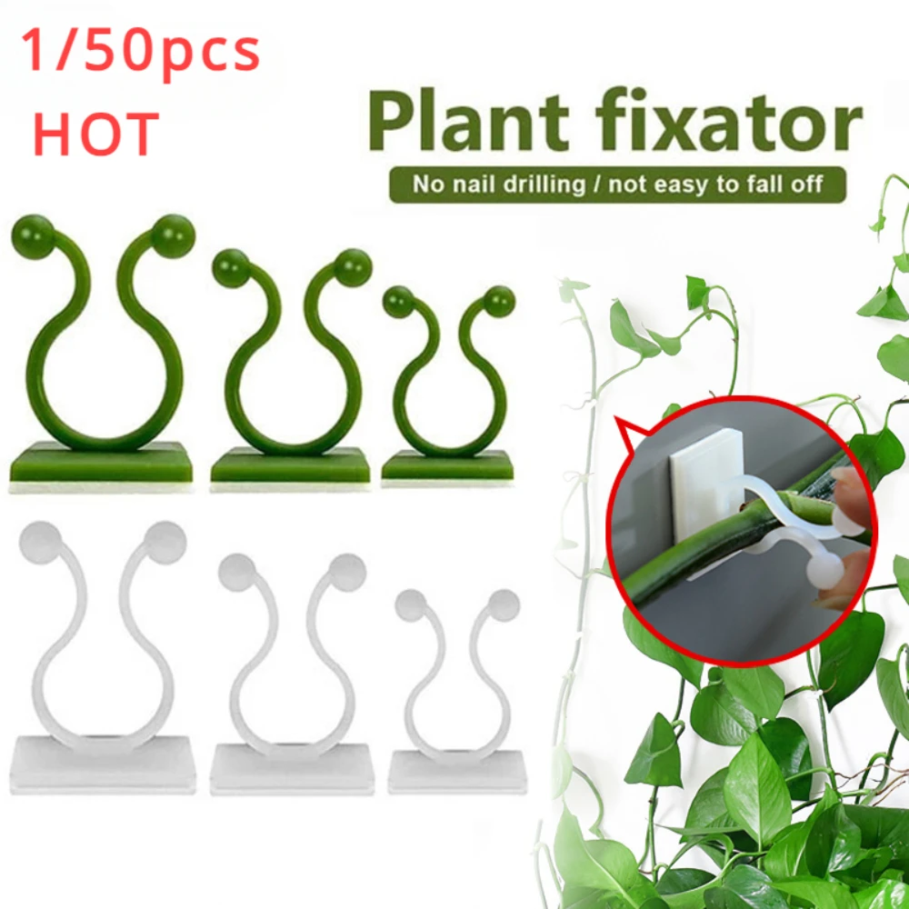 1/30/50 Stück für Gartenzubehö – Plant Support Stake Bewertung und Preis