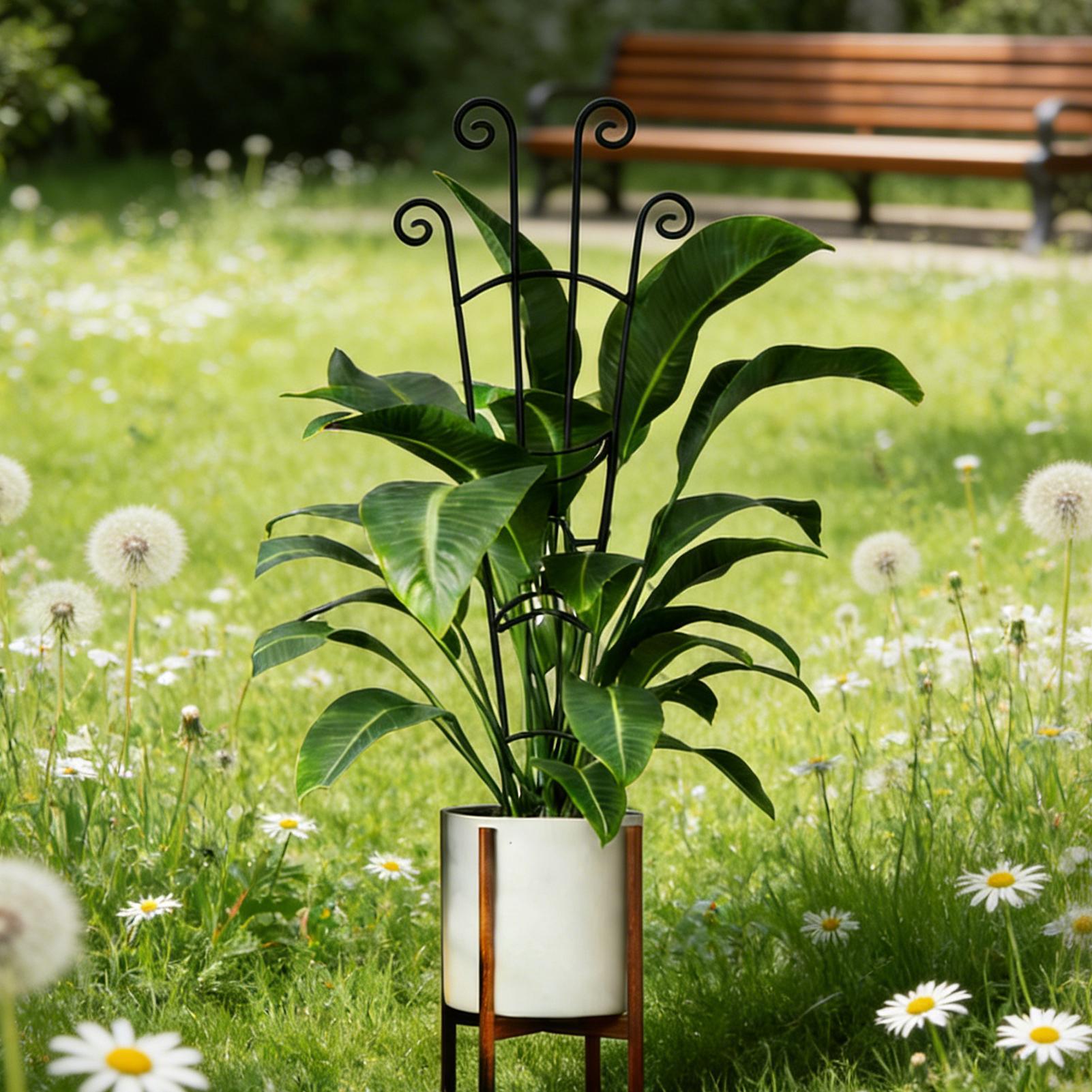 Pflanzenspalier aus Metall, Pf – Plant Support Stake Bewertung und Preis